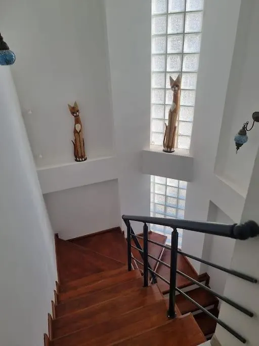 Babacim Havuzlu Saunali Villa location