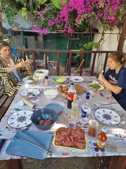 Babacim Havuzlu Saunali Villa Turgutreis